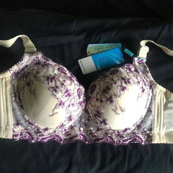 Exquisite Black Sheer Lace Bra - Picture 3 of 5